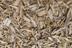 biomass boilers Noverton
